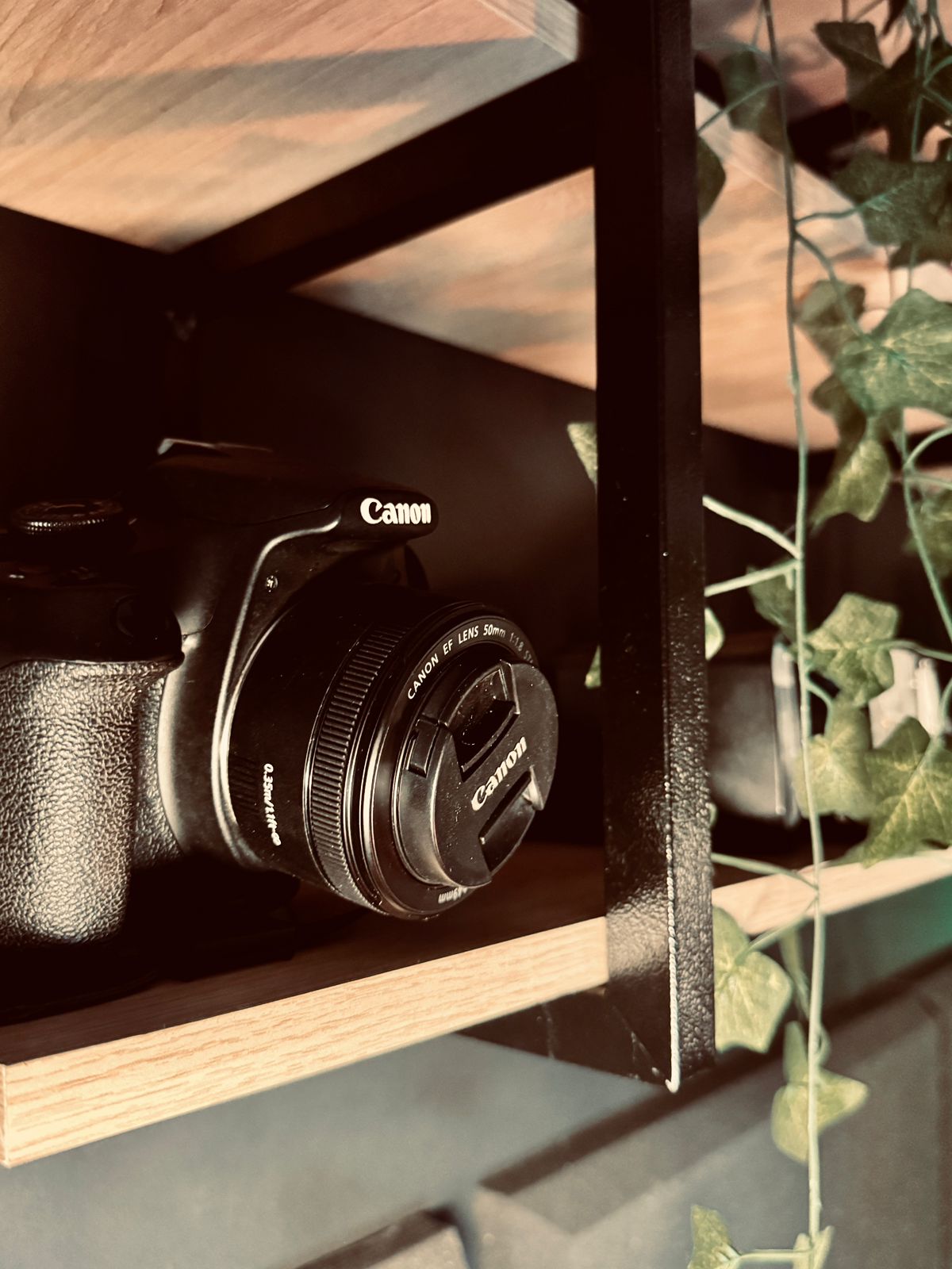 Artista assistindo vídeos amadores