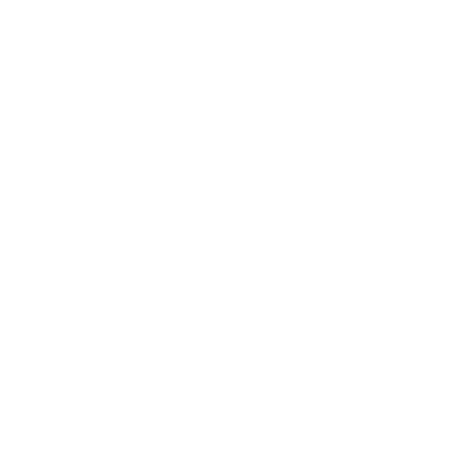 Nano Sound logo